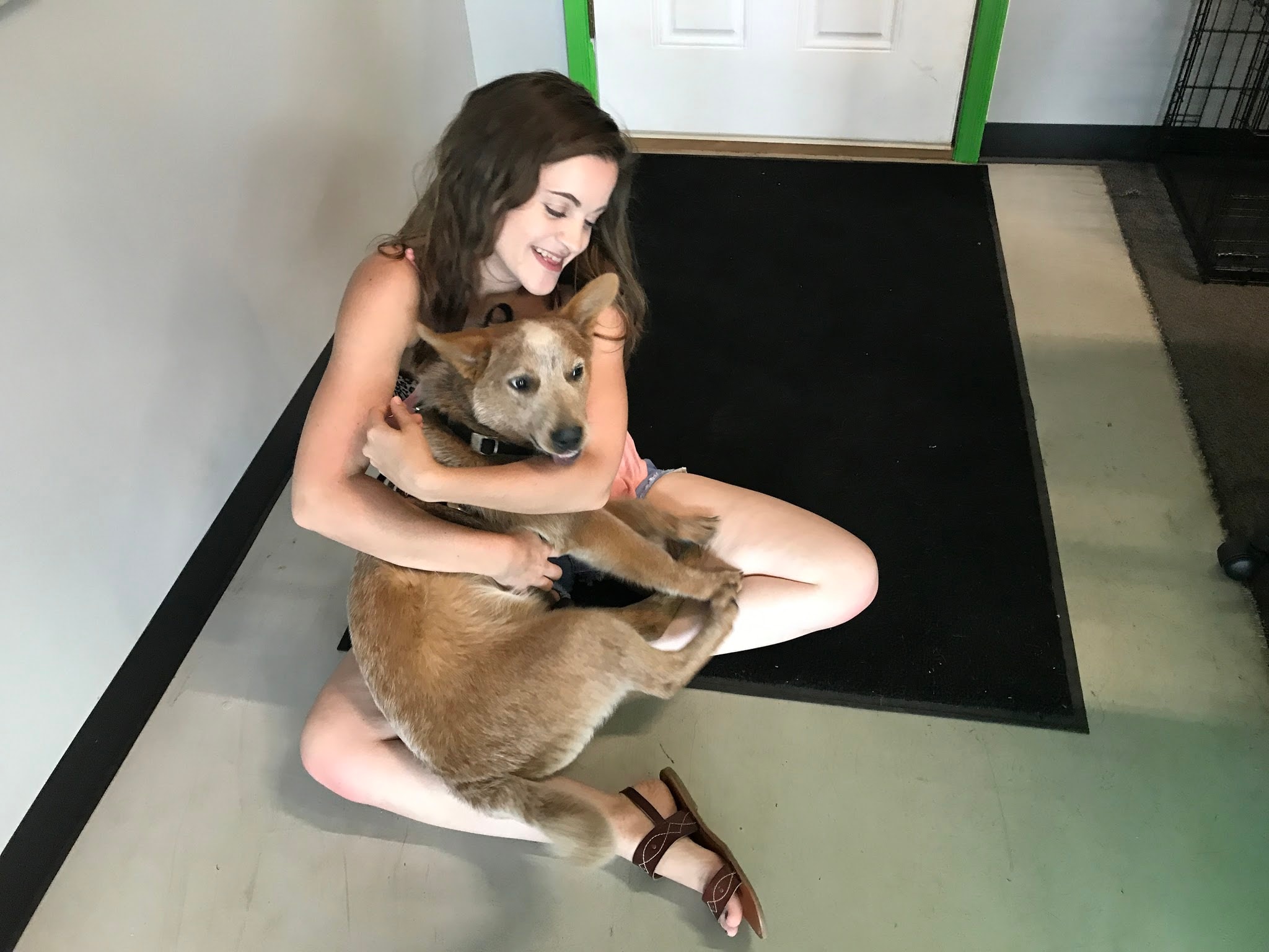 Authentic candid pet care moment during Stay With Lacy visit in Stafford VA