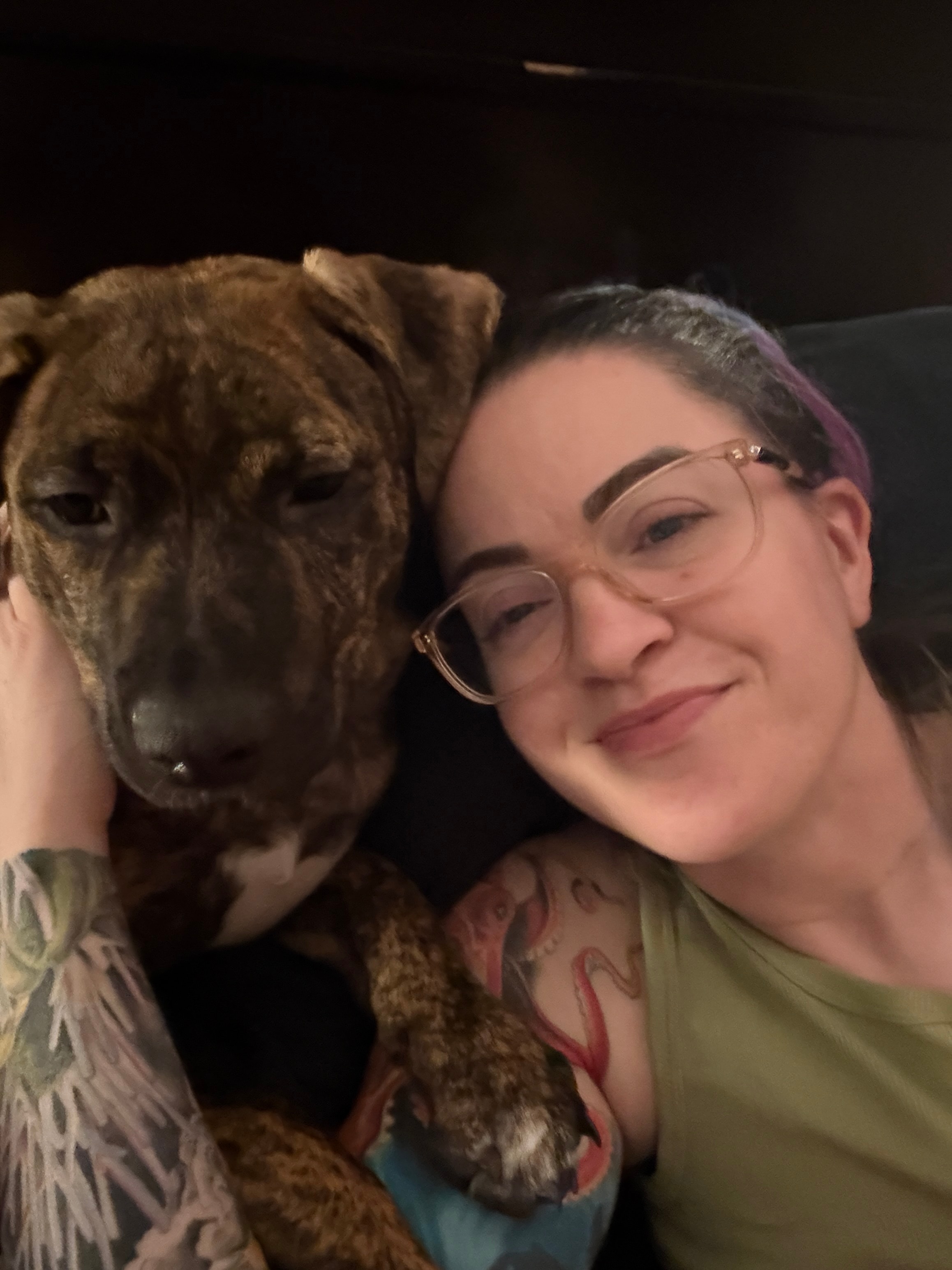 Red Flags and Green Flags: How to Choose a Pet Sitter You Can Actually Trust