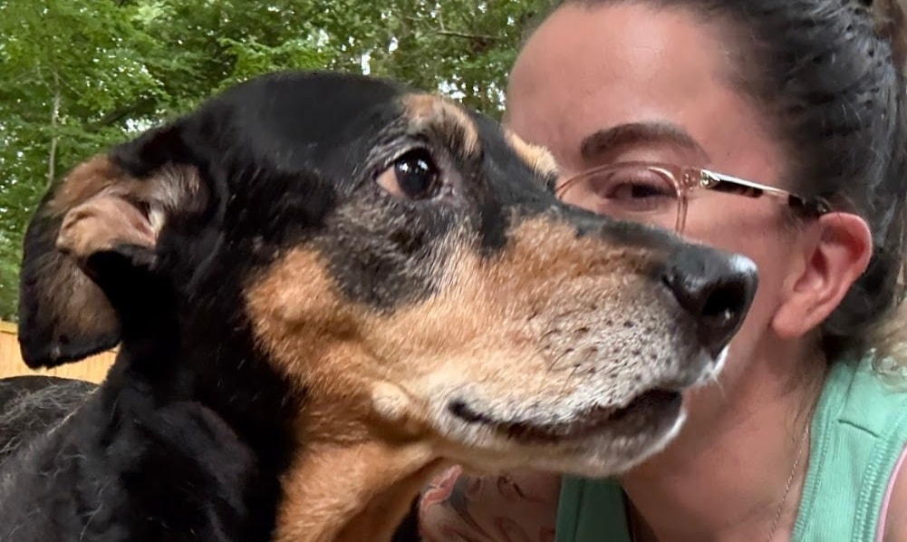 Travel Guilt Is Real: How to Leave Your Pet Without Losing Your Mind