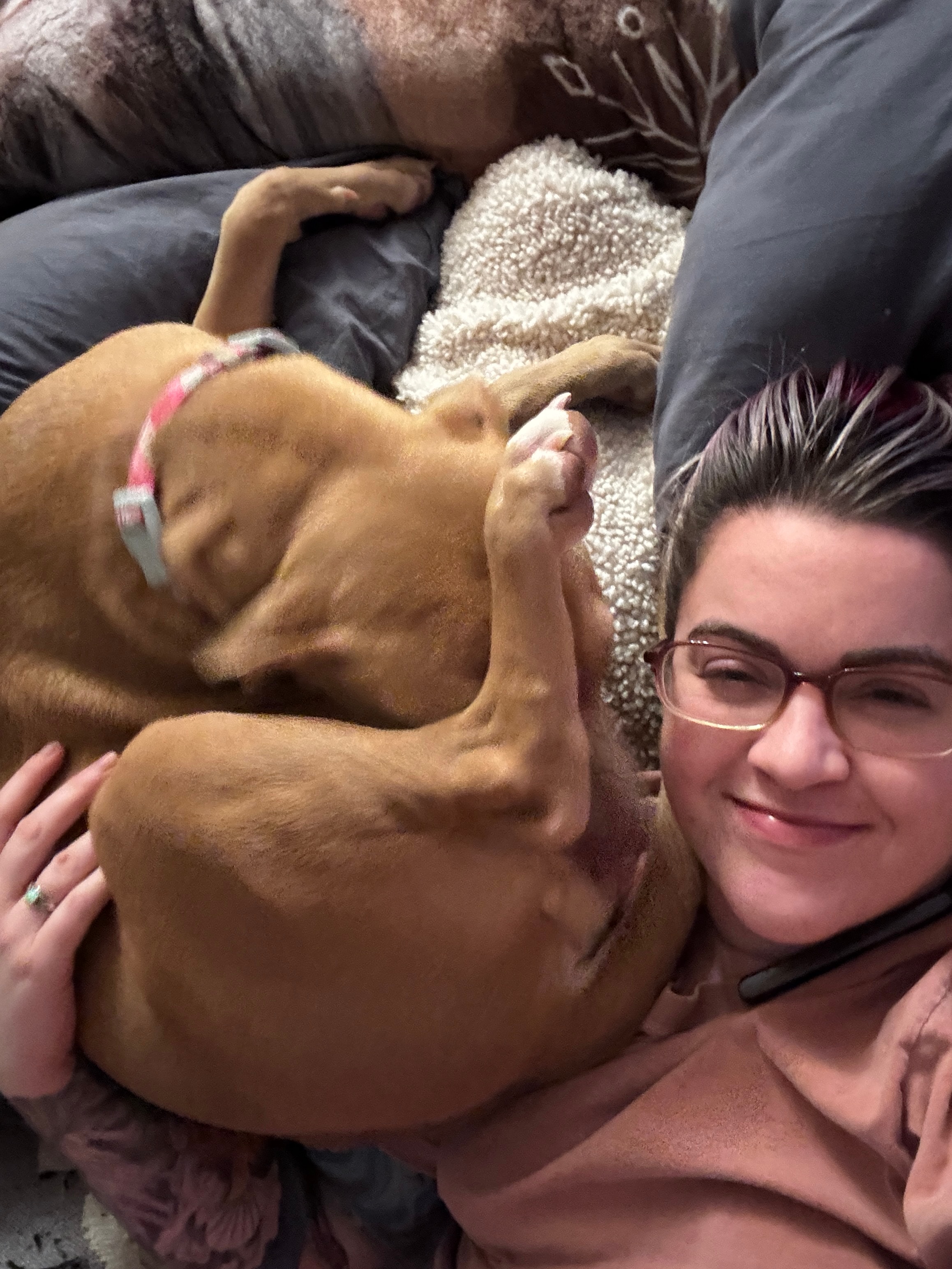 Lacy Jones providing in-home pet sitting in Stafford, VA — professional, licensed, and insured care for dogs and cats
