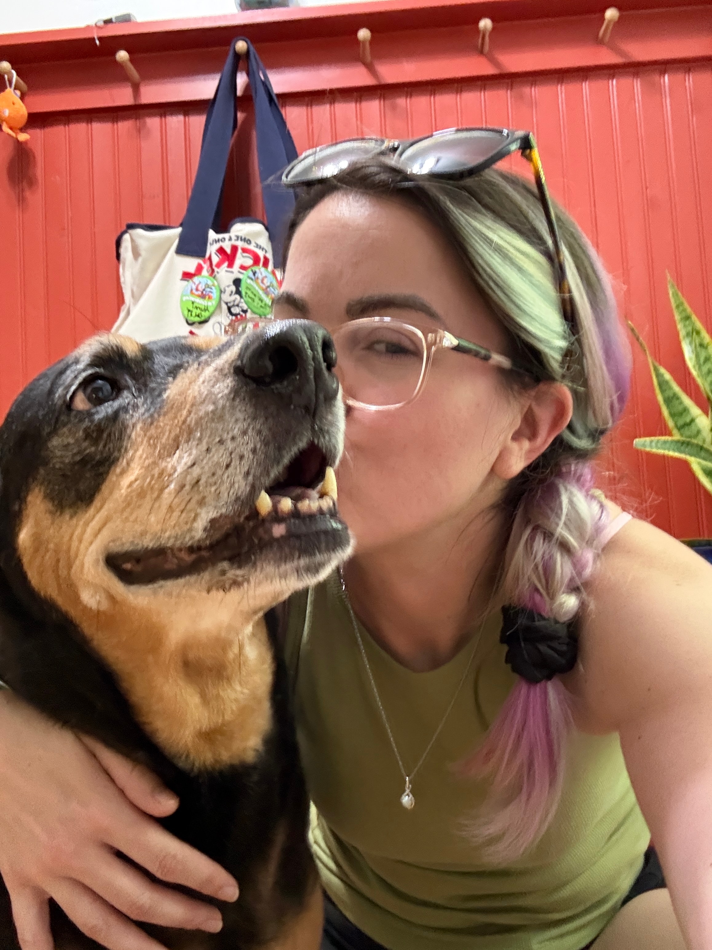Lacy Jones providing overnight house sitting and pet care in Stafford, VA — keeping your home secure and your pets comfortable